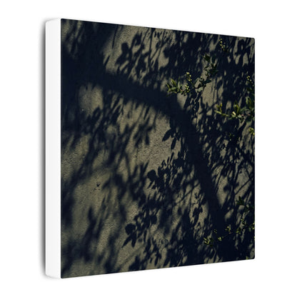 Atmospheric Shadow Play Canvas Art - Moody Minimal Dark Japandi