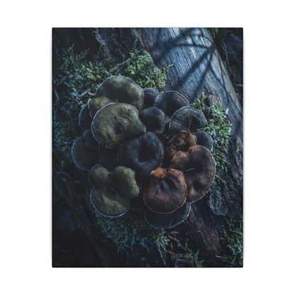 Wild Mushrooms Moody Minimal Canvas Art | Moody Dark Japandi Art