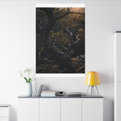 Moody Pine Tree Canvas Art - Moody Minimal Dark Japandi