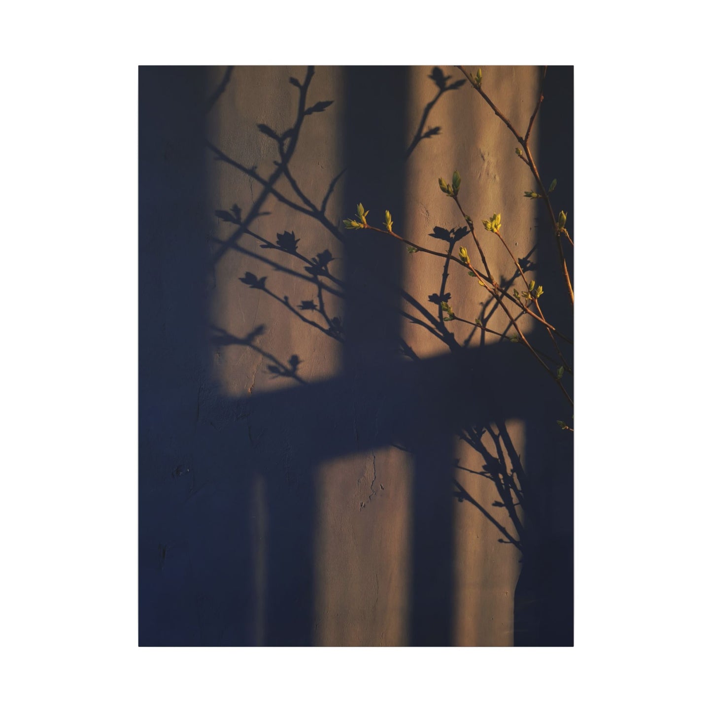 Shadow Play Canvas Art | Spring Dark Japandi Shadow Zen Art