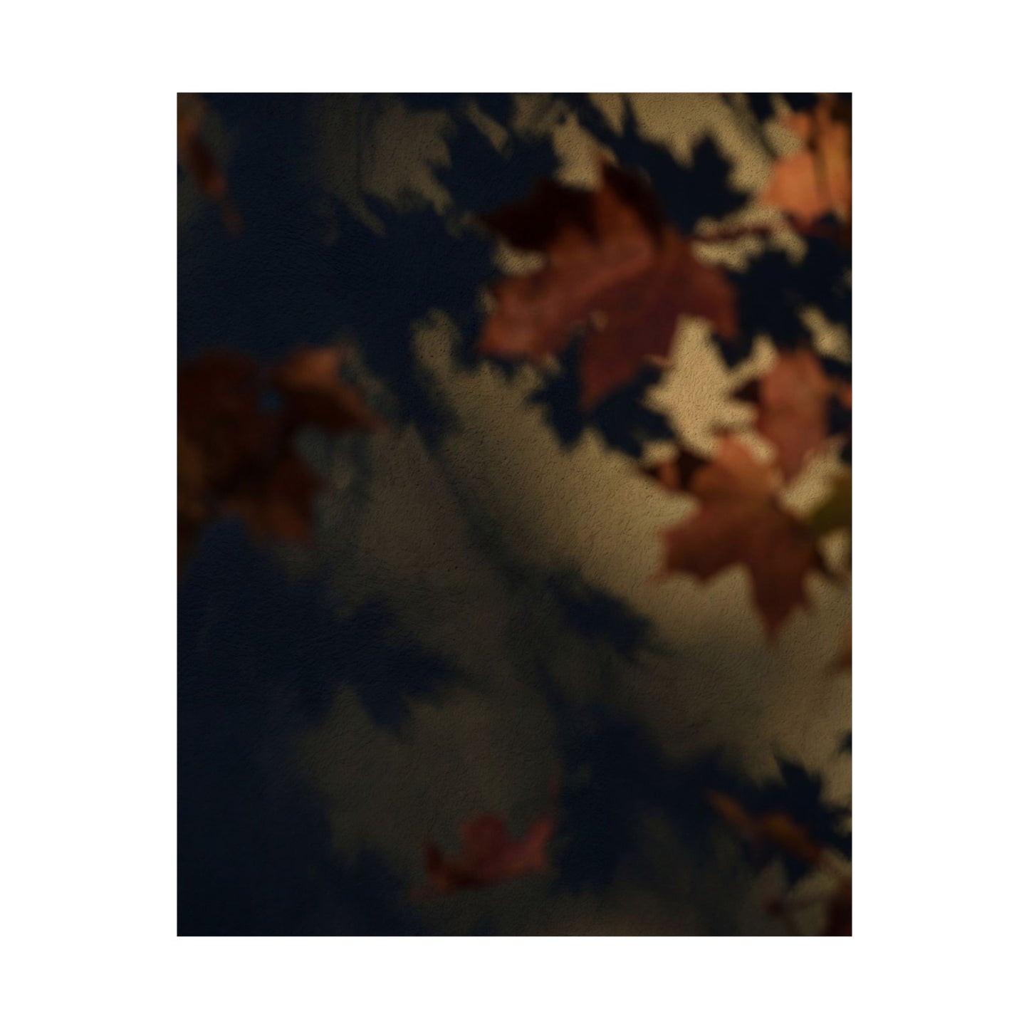Dark Japandi Shadow Play in Golden Hour | Moody Minimal Wall Art Print