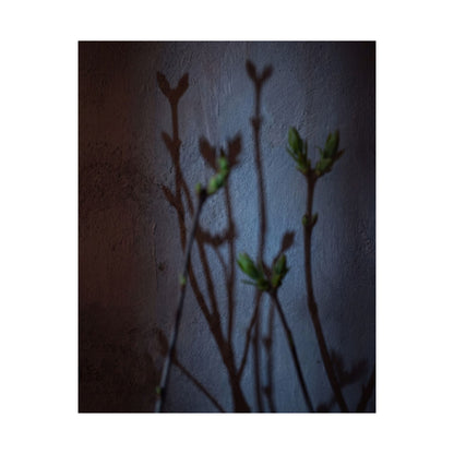 Spring Shadow Play Shadow Zen Wall Art Print | Moody Decor