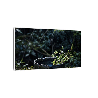 Dappled Ceramic Bowl Canvas Art - Dark Japandi Datsuzoku
