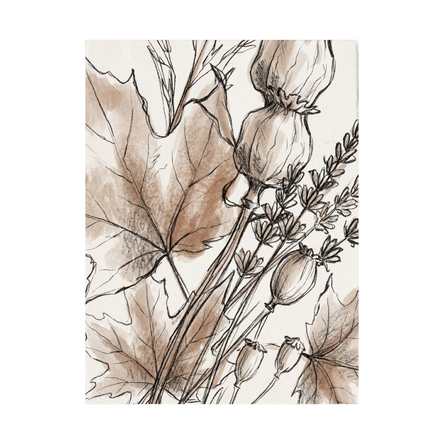 Dried Flowers Minimal Line Wall Art Print | Neutral Japandi Art
