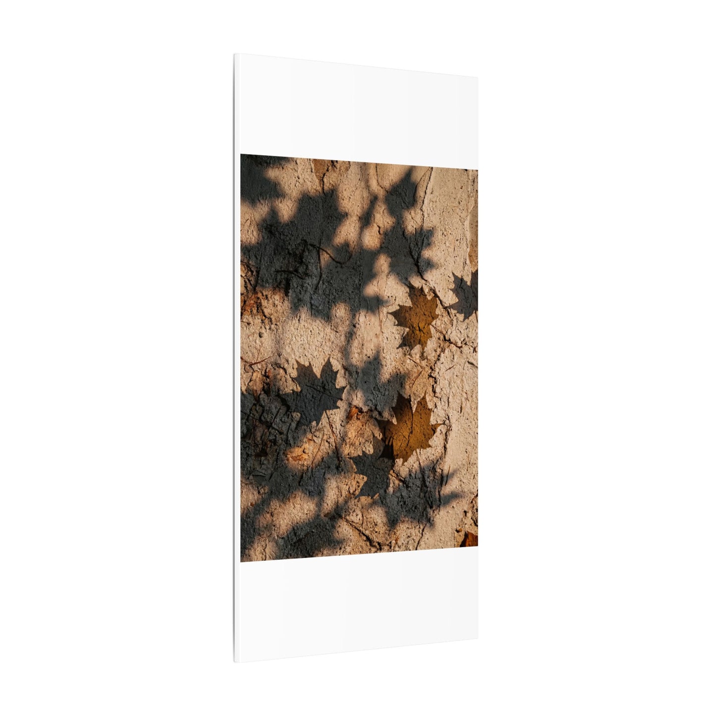 Cozy Shadow Play Canvas Art - Texture Japandi