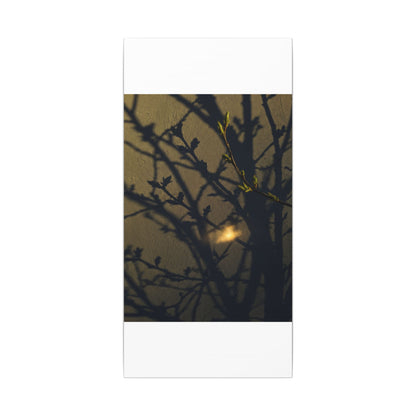 Bold Shadow Play Canvas Art - Moody Minimal Dark Japandi