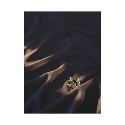 Silk Drape Shadow Zen Canvas Art | Luxurious Dark Japandi Art