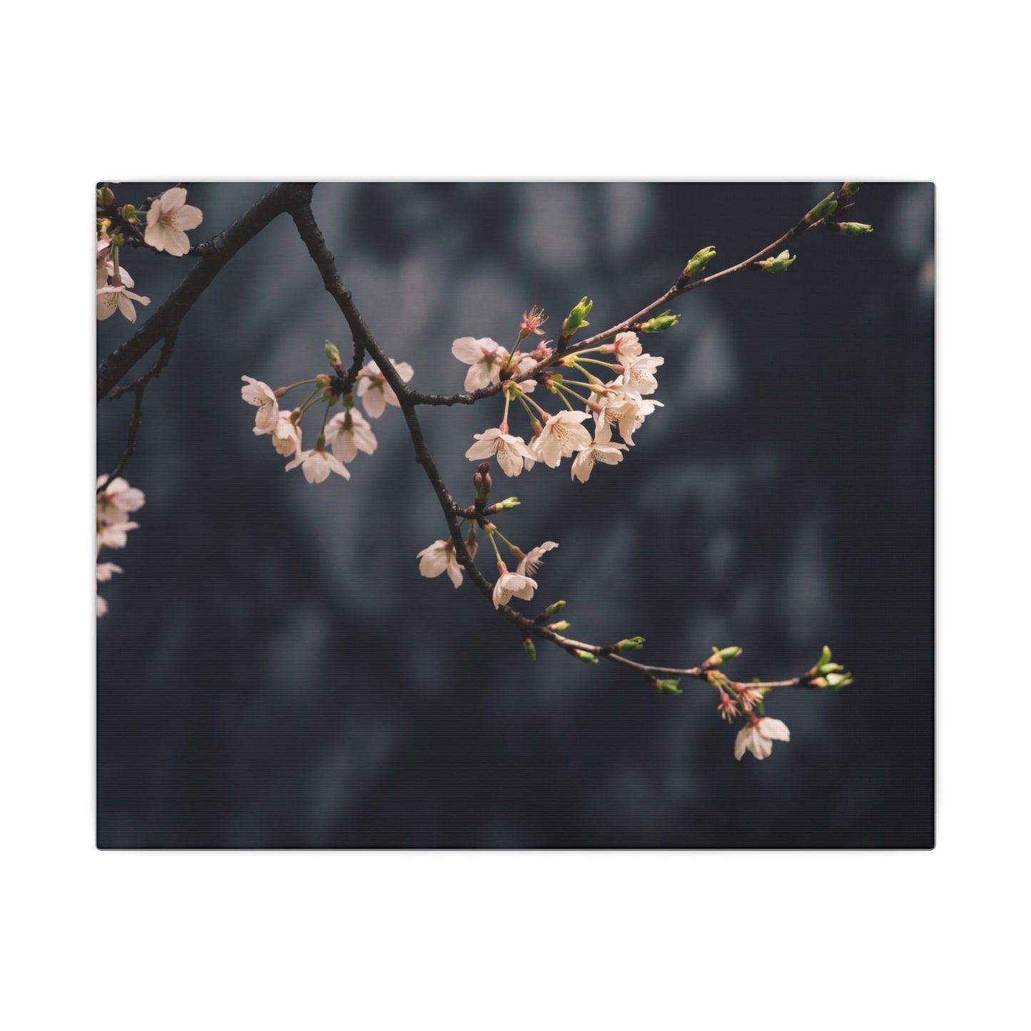 Cherry Blossom Moody Minimal Canvas Art | Bold Dark Japandi Art
