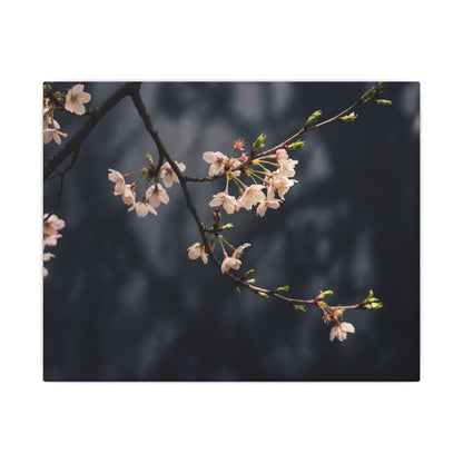 Cherry Blossom Moody Minimal Canvas Art | Bold Dark Japandi Art