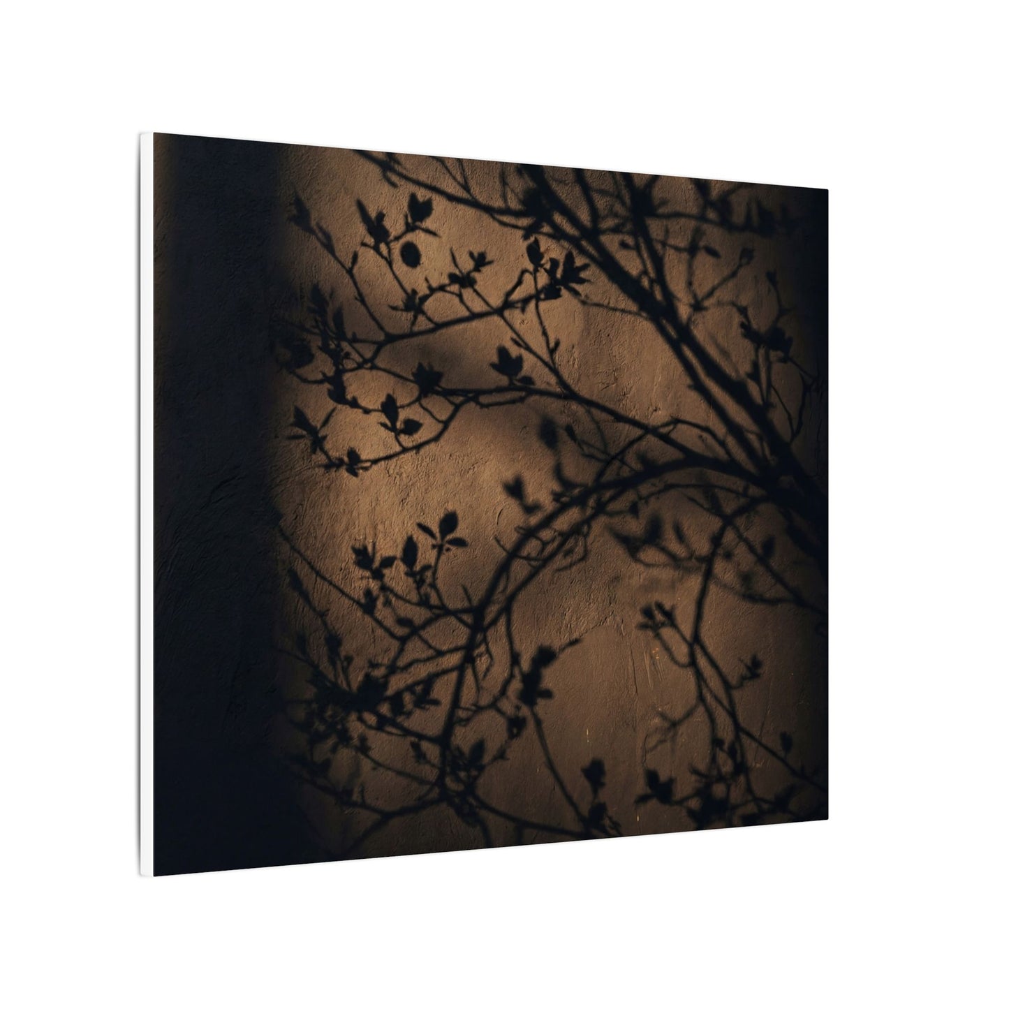 Dark Japandi Shadow Play in Golden Hour | Shadow Zen Canvas Art