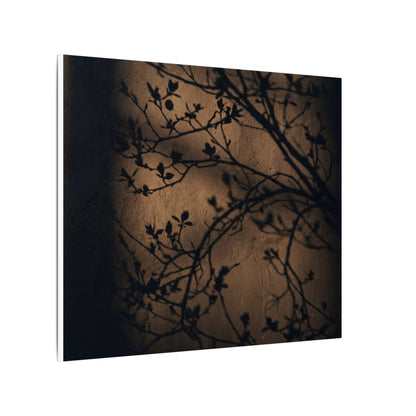 Dark Japandi Shadow Play in Golden Hour | Shadow Zen Canvas Art