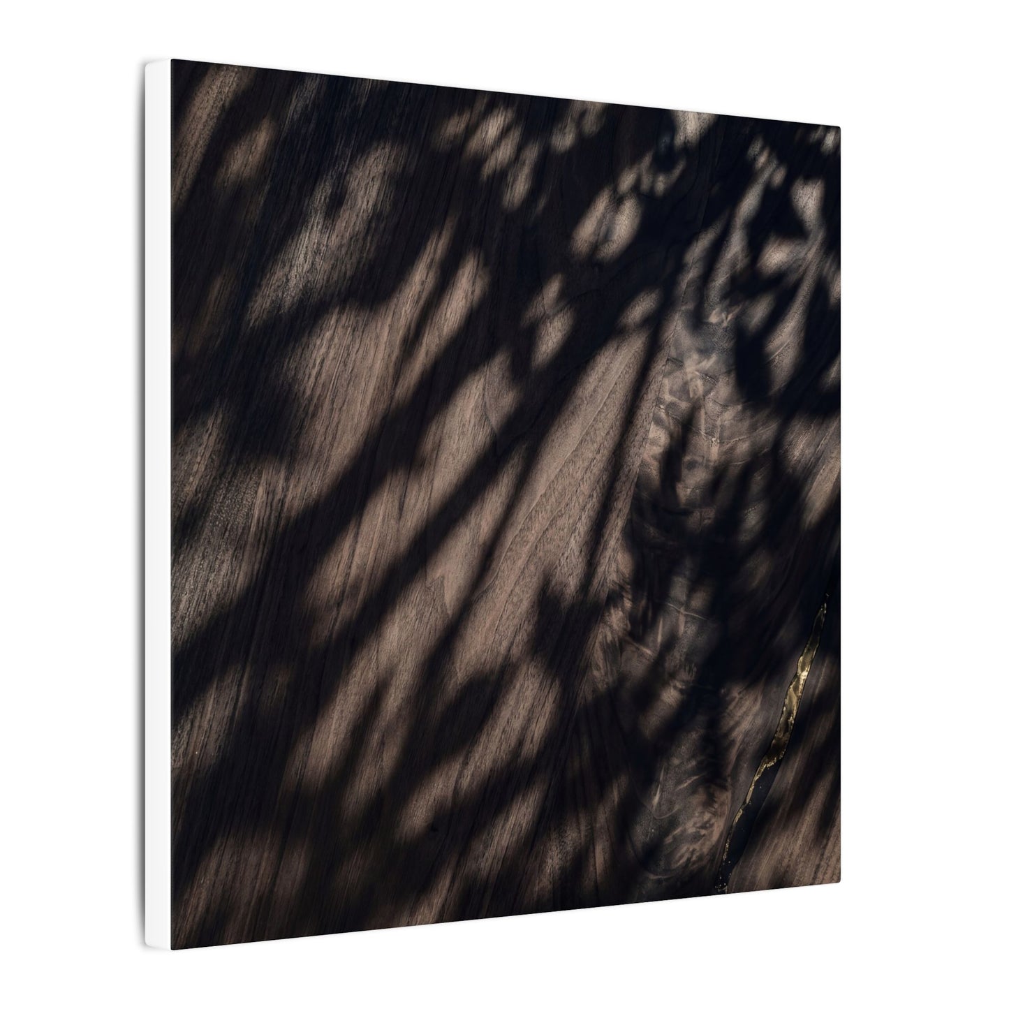 Shadow Play Summer Canvas Art | Dark Japandi Moody Design