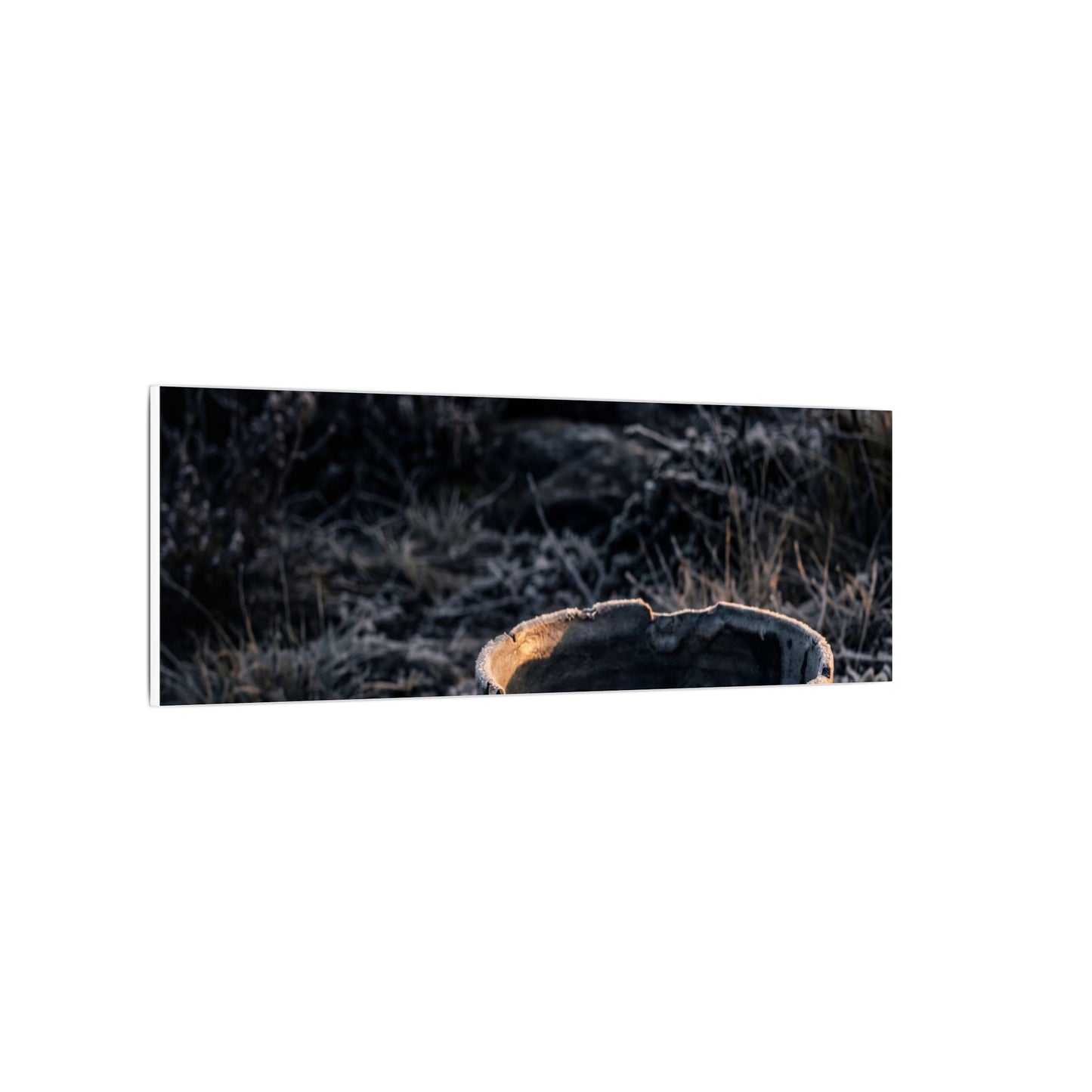 Kanso Ceramic Bowl Canvas Art - Dark Japandi Dark Texture