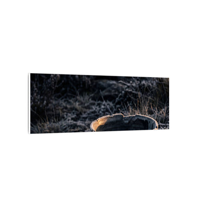 Kanso Ceramic Bowl Canvas Art - Dark Japandi Dark Texture