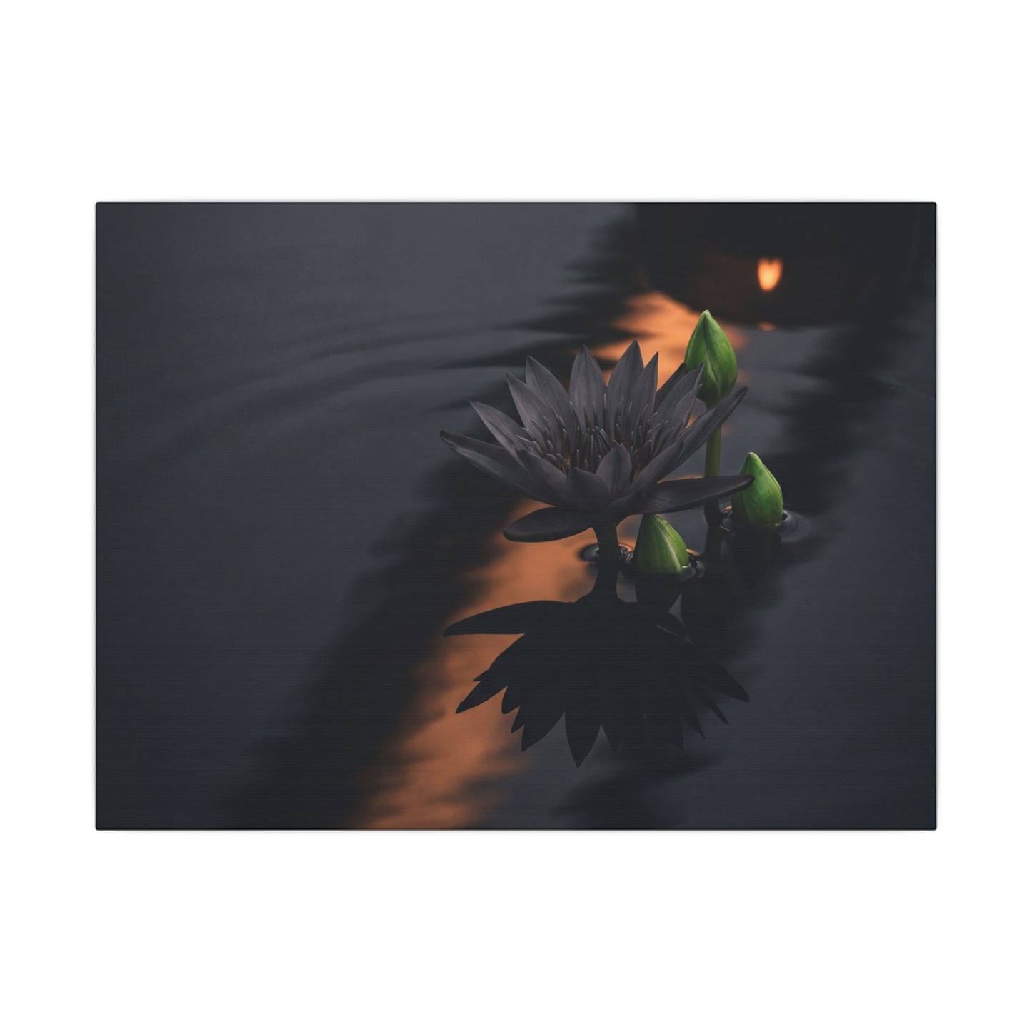 Seijaku Lotus Flower Canvas Art - Dark Japandi Shadow Zen