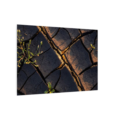 Kintsugi Cracked Earth in Golden Hour | Gold Vein Canvas Art