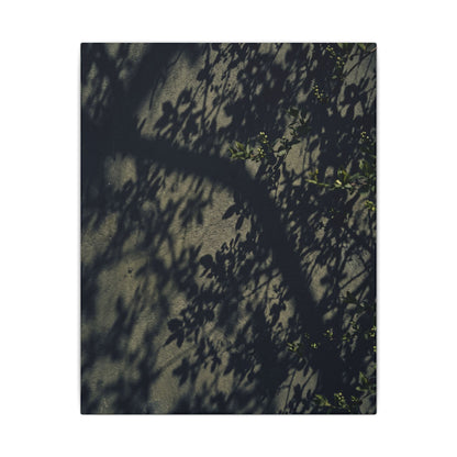 Atmospheric Shadow Play Canvas Art - Moody Minimal Dark Japandi