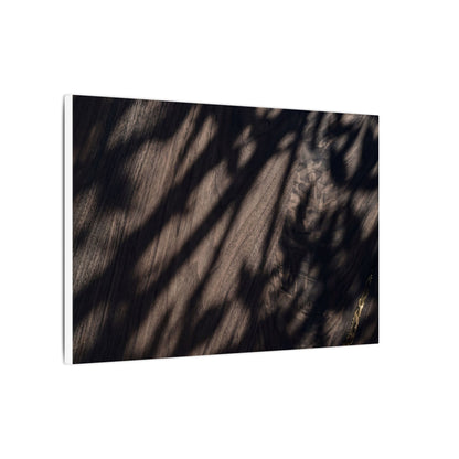 Shadow Play Summer Canvas Art | Dark Japandi Moody Design