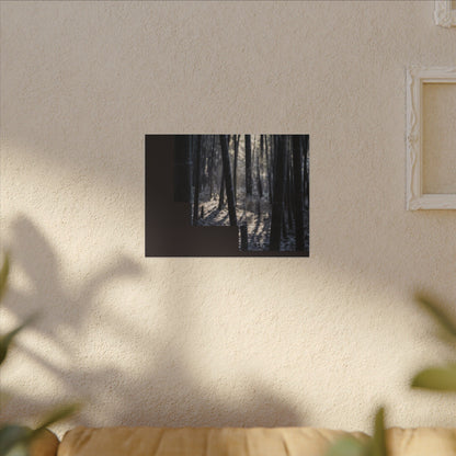 Bamboo Grove Canvas Art | Winter Dark Japandi Moody Minimal Art