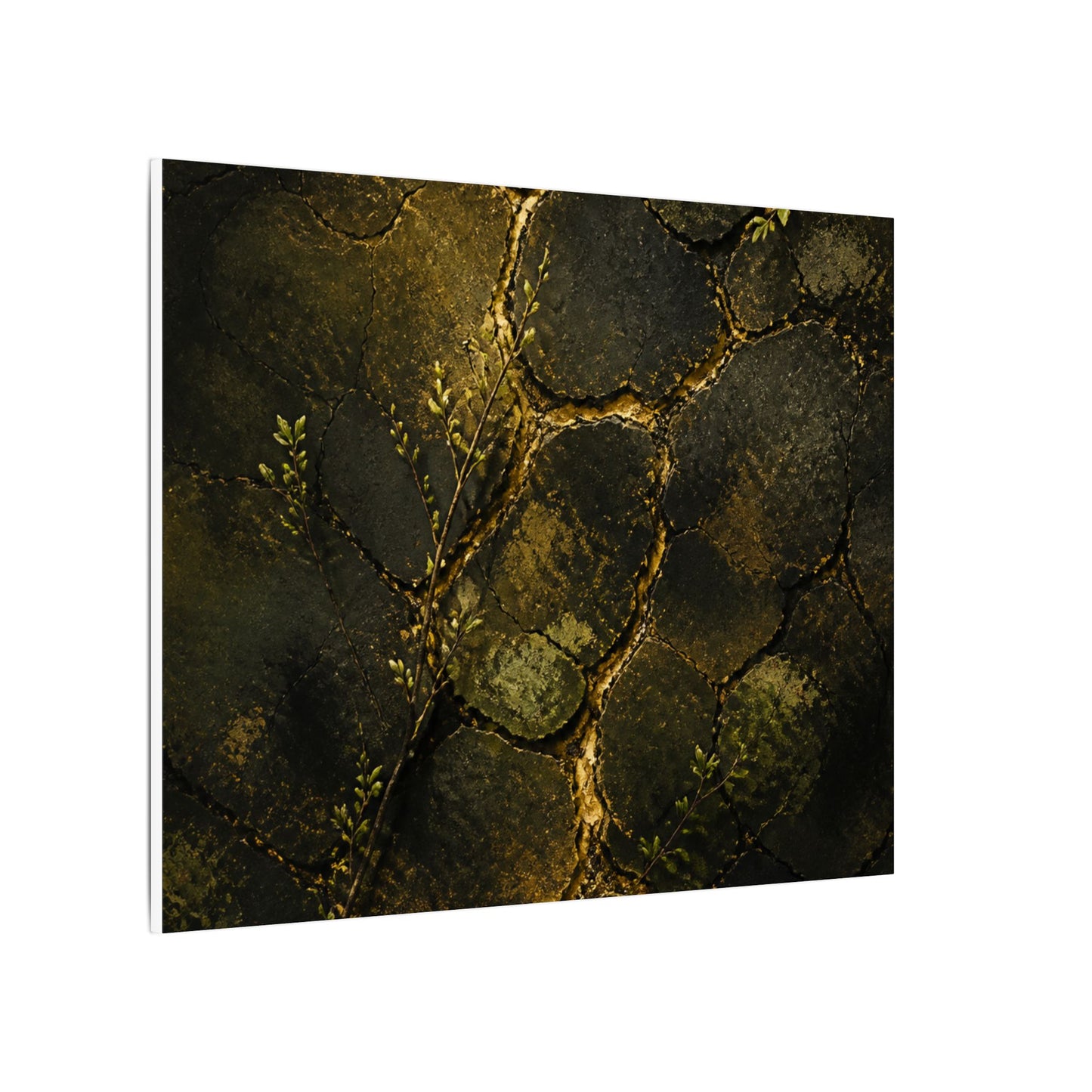 Shibui Cracked Earth Canvas Art - Dark Japandi Dark Texture