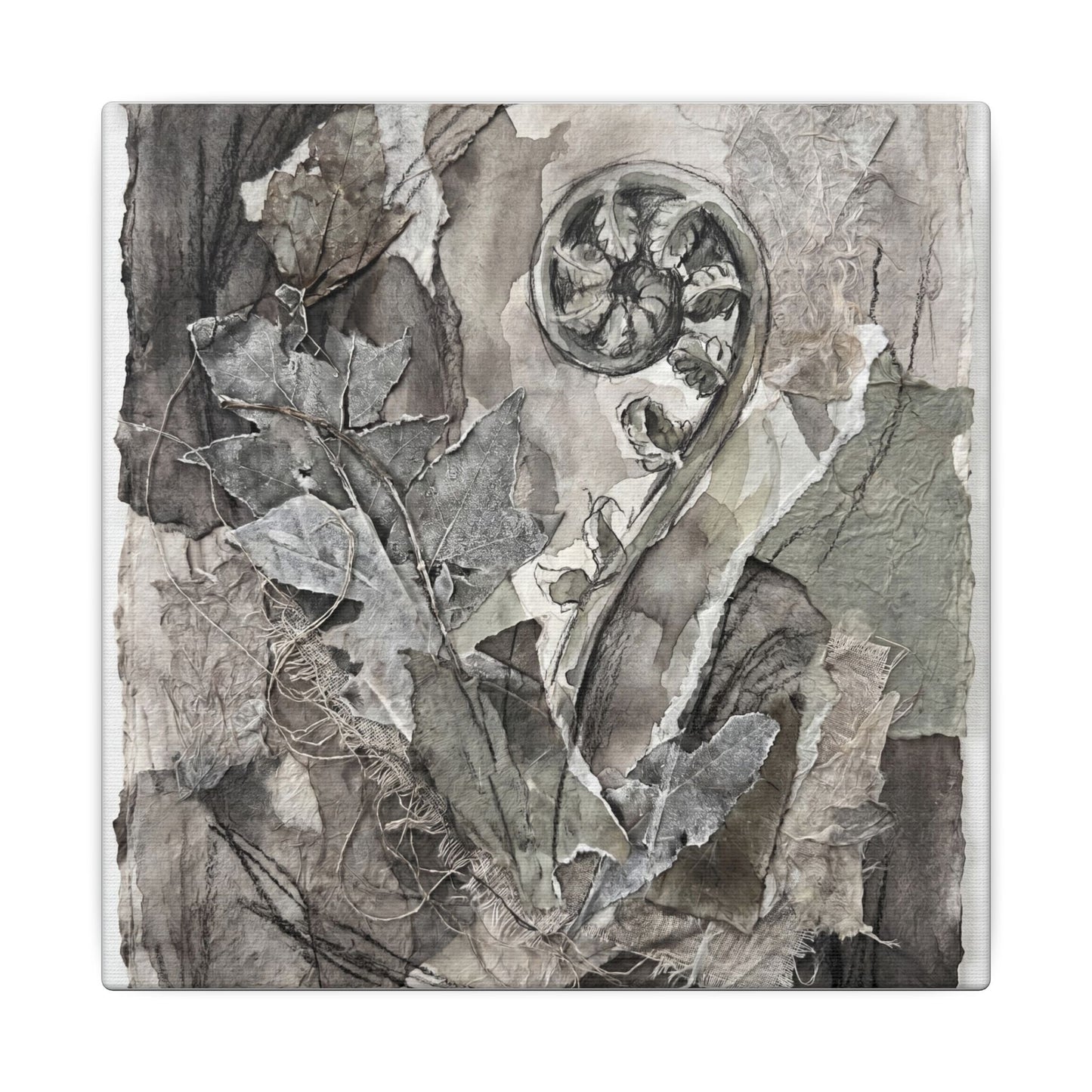 Japandi Fern Unfurling in Overcast | Texture Canvas Art