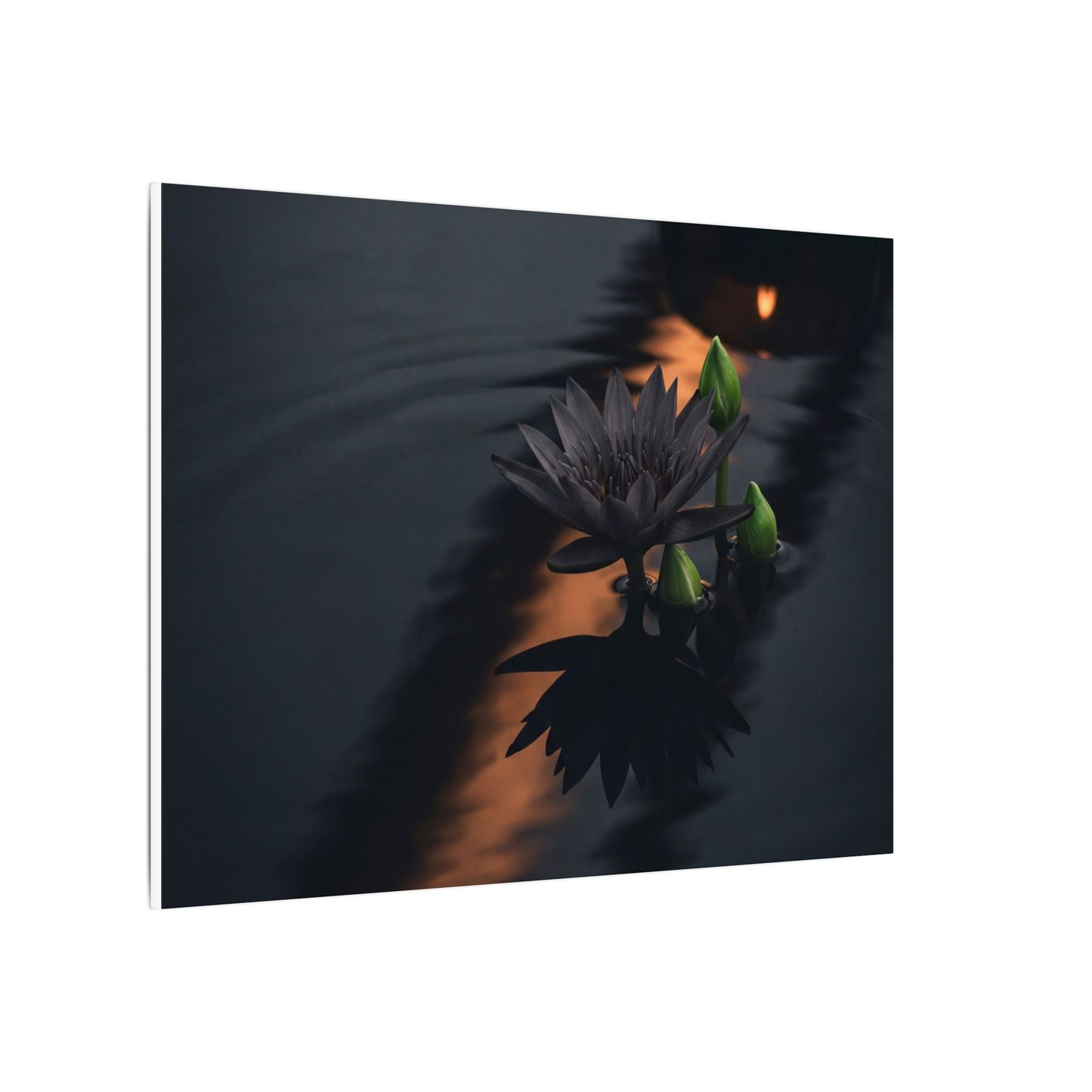 Seijaku Lotus Flower Canvas Art - Dark Japandi Shadow Zen