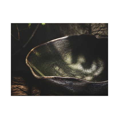 Sophisticated Ceramic Bowl Canvas Art - Dark Texture Dark Japandi