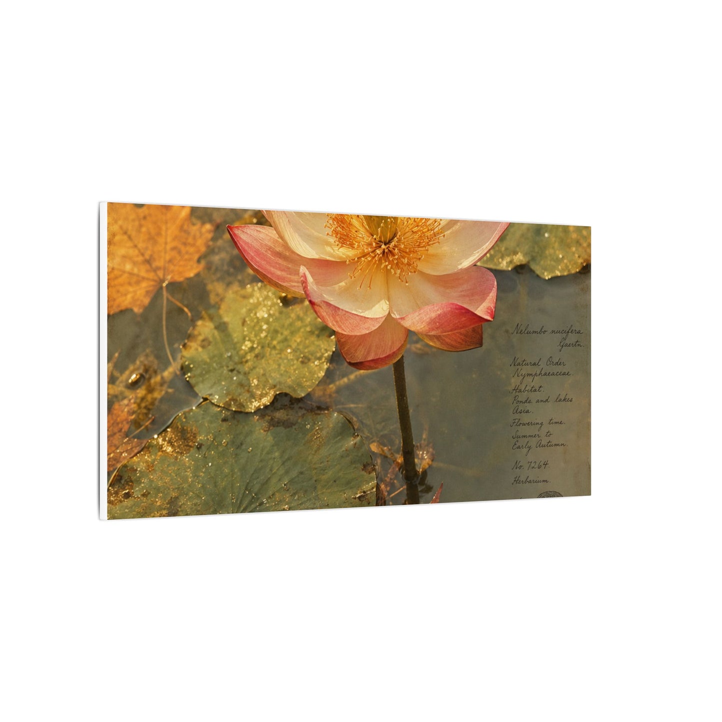 Autumn Lotus Flower Herbarium Canvas Art | Rustic Decor