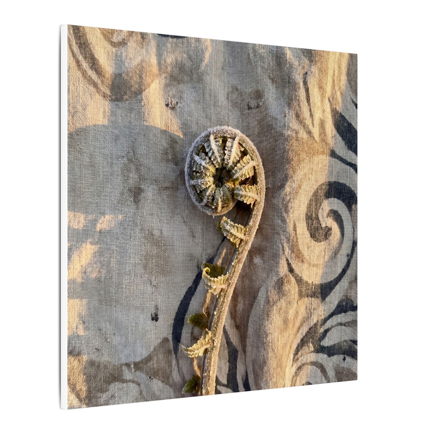 Fern Unfurling Canvas Art | Winter Japandi Japanese Pattern Art