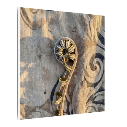 Fern Unfurling Canvas Art | Winter Japandi Japanese Pattern Art