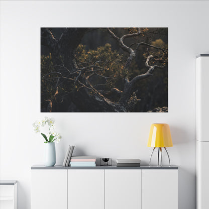 Moody Pine Tree Canvas Art - Moody Minimal Dark Japandi