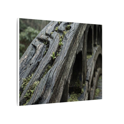 Overcast Wooden Bridge Canvas Art - Japandi Kanso