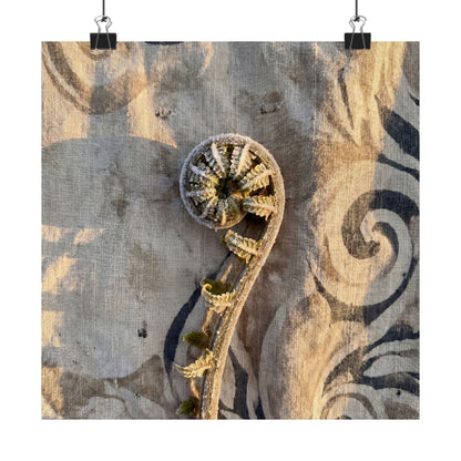 Fern Unfurling Winter Wall Art Print | Japandi Warm Design