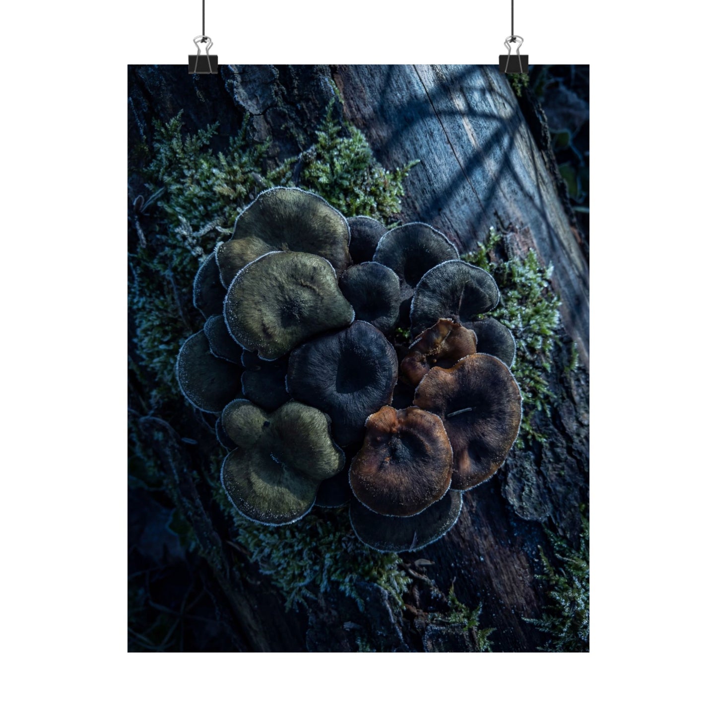 Moonlight Wild Mushrooms Wall Art Print - Dark Japandi Shibui Art Print