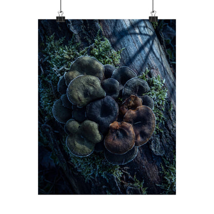Moonlight Wild Mushrooms Wall Art Print - Dark Japandi Shibui Art Print