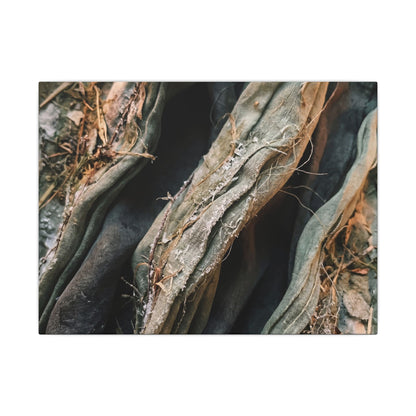 Silk Drape Winter Canvas Art | Japandi Cozy Design