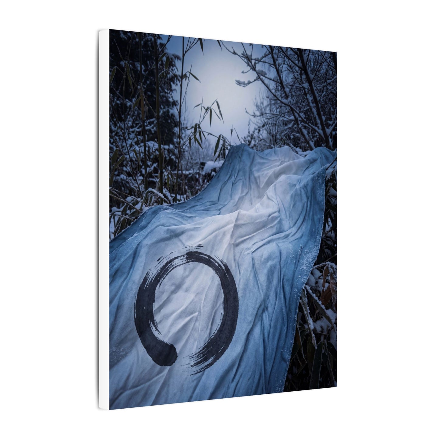Moonlight Silk Drape Canvas Art - Zen Datsuzoku
