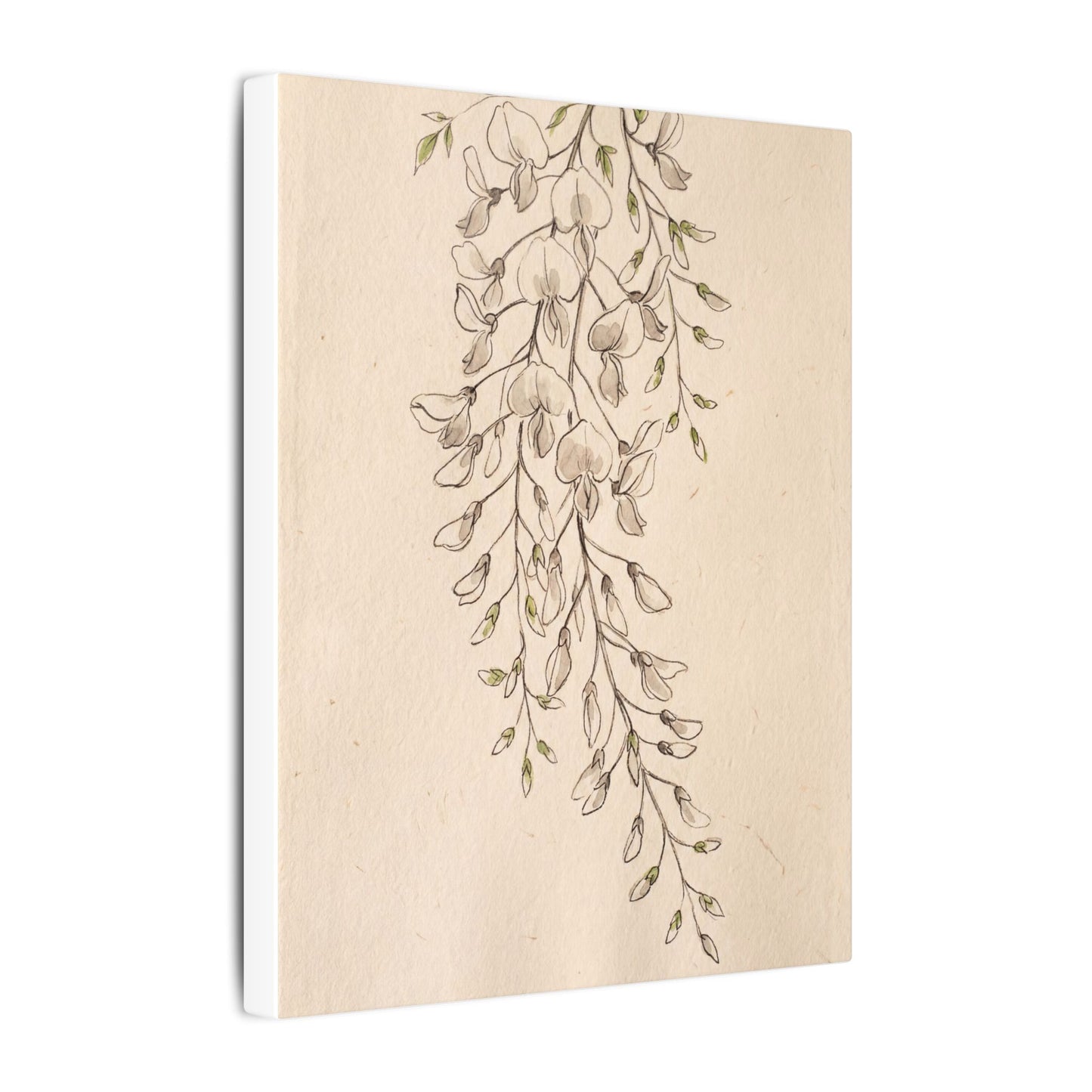 Japandi Wisteria in Golden Hour | Minimal Line Canvas Art