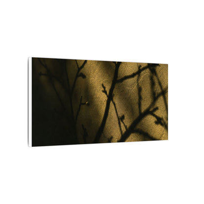 Golden Hour Shadow Play Canvas Art - Dark Japandi Seijaku