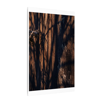 Golden Hour Shadow Play Canvas Art - Dark Japandi Fukinsei