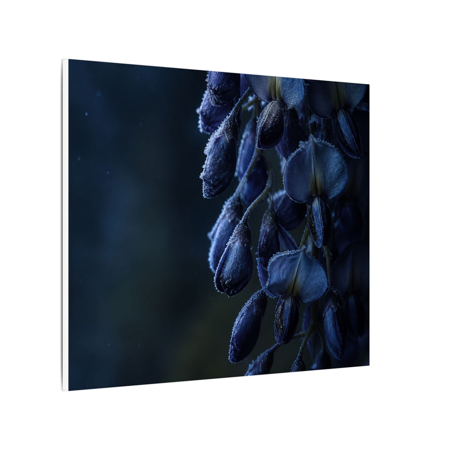 Winter Wisteria Shadow Zen Canvas Art | Atmospheric Decor