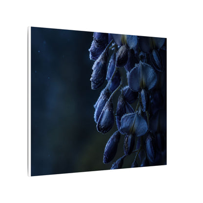 Winter Wisteria Shadow Zen Canvas Art | Atmospheric Decor