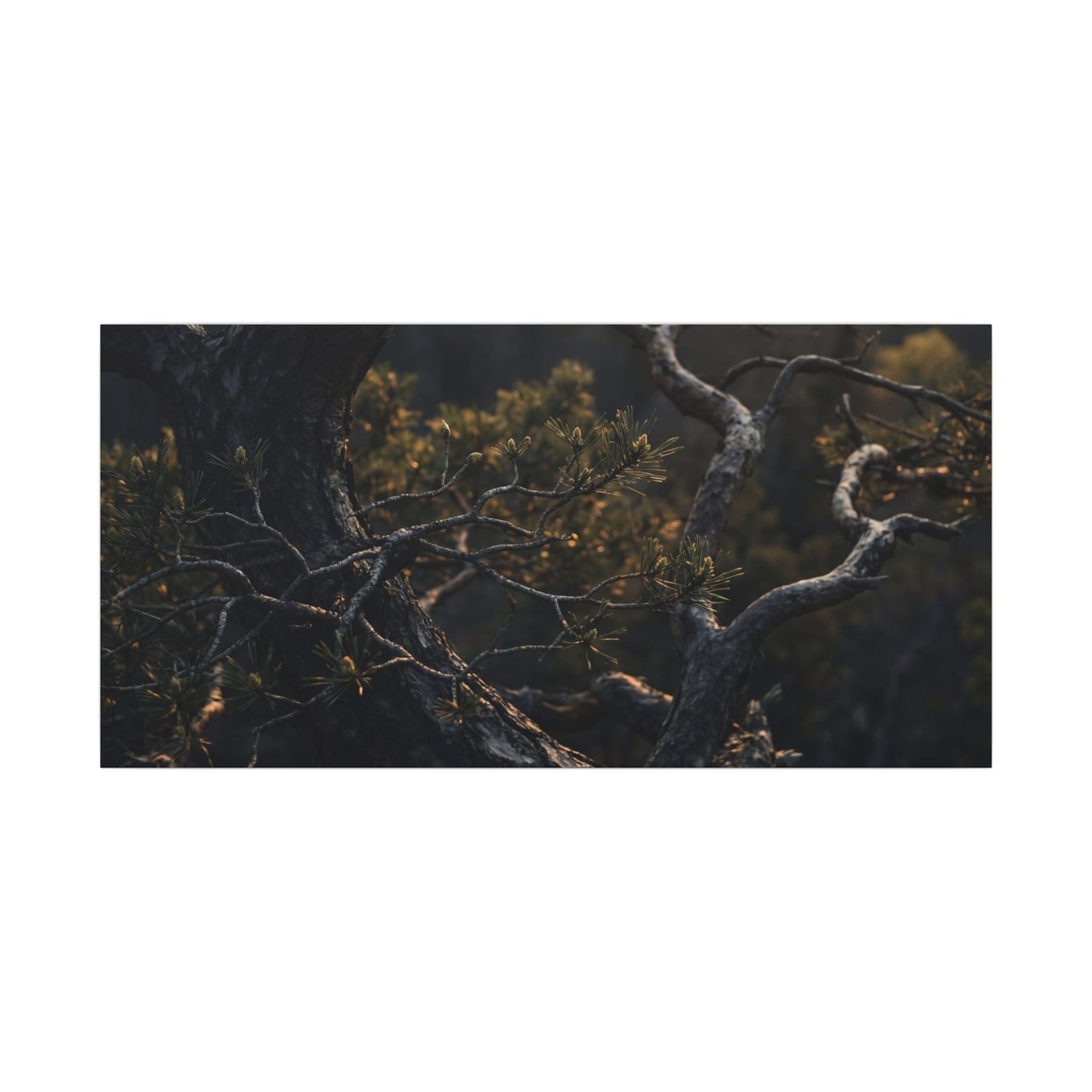 Moody Pine Tree Canvas Art - Moody Minimal Dark Japandi