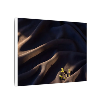 Silk Drape Shadow Zen Canvas Art | Luxurious Dark Japandi Art