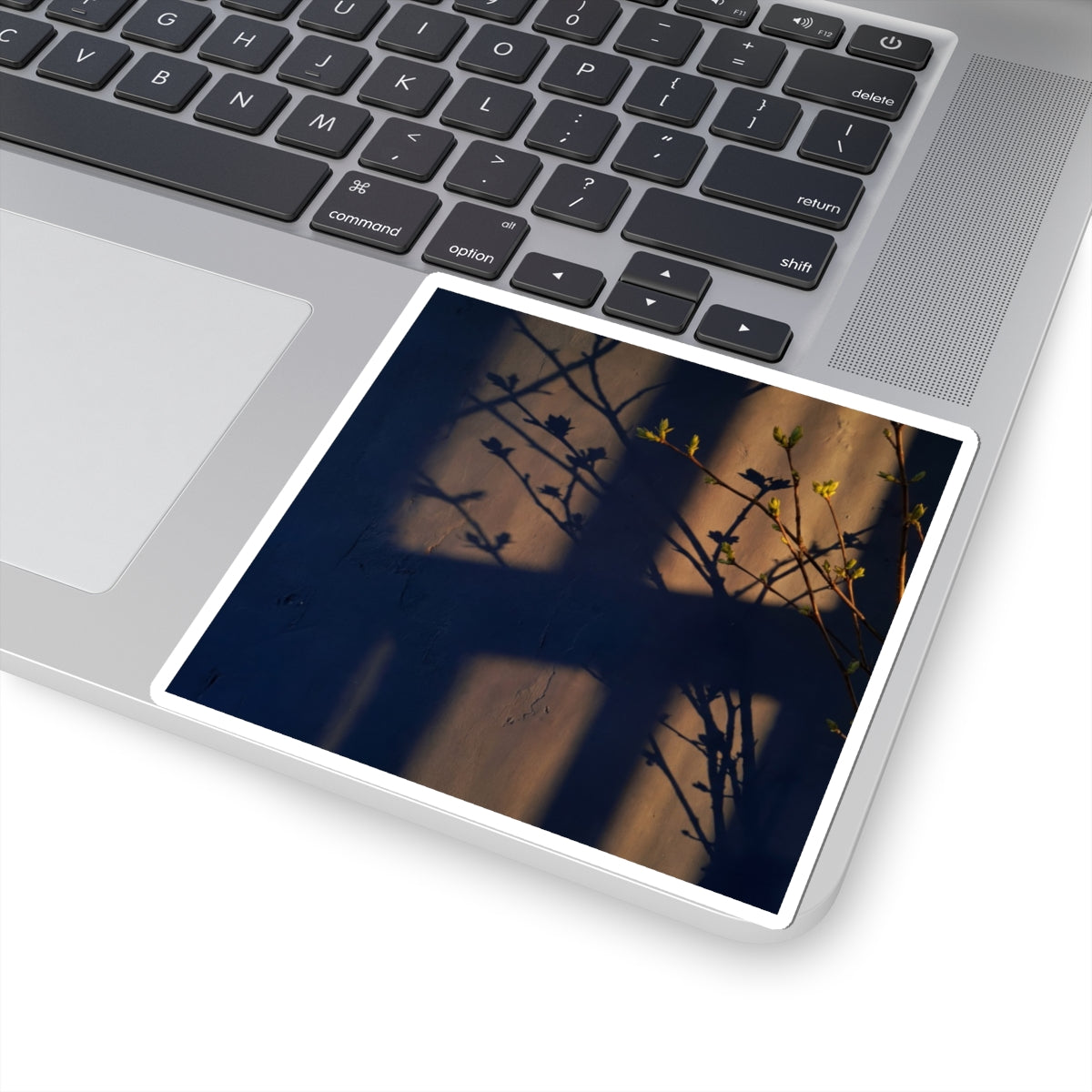 Shadow Play Spring Sticker | Dark Japandi Moody Design Art Print