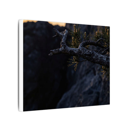 Pine Tree Moody Minimal Canvas Art | Sophisticated Dark Japandi Art