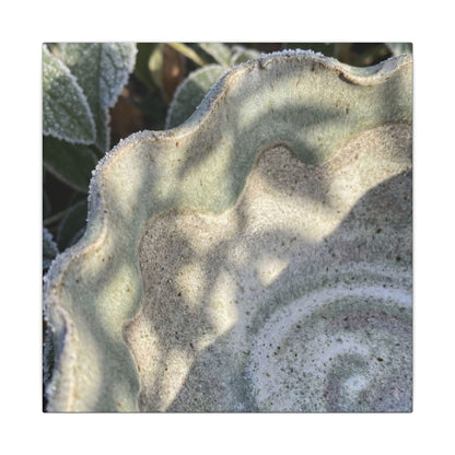 Dappled Ceramic Bowl Canvas Art - Japandi Seijaku