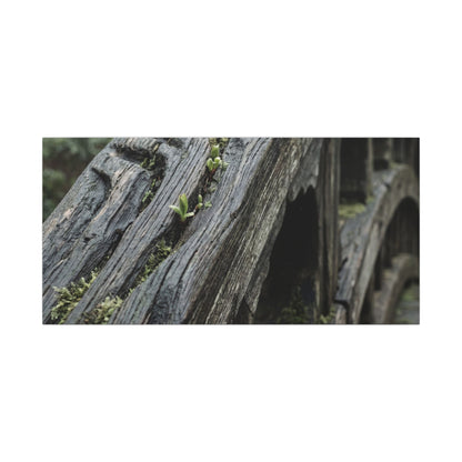 Overcast Wooden Bridge Canvas Art - Japandi Kanso