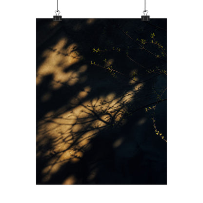 Shadow Play Spring Wall Art Print | Dark Japandi Bold Design