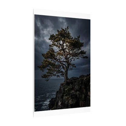 Dappled Pine Tree Canvas Art - Dark Japandi Fukinsei
